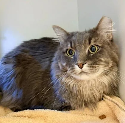 Cinderblock thumbnail 3