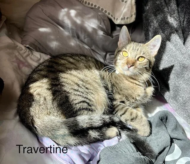 Travertine thumbnail 4