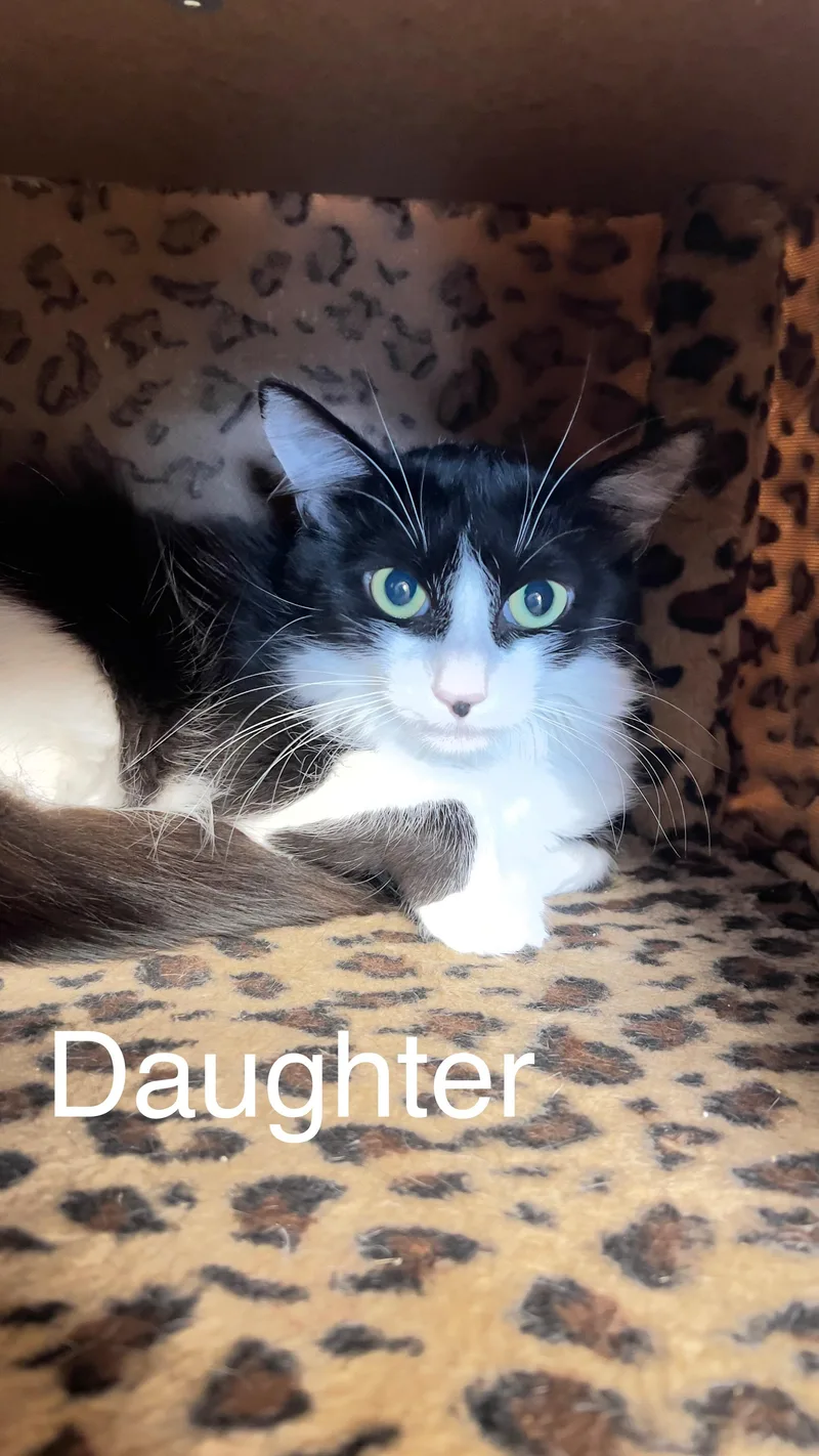 Daughter