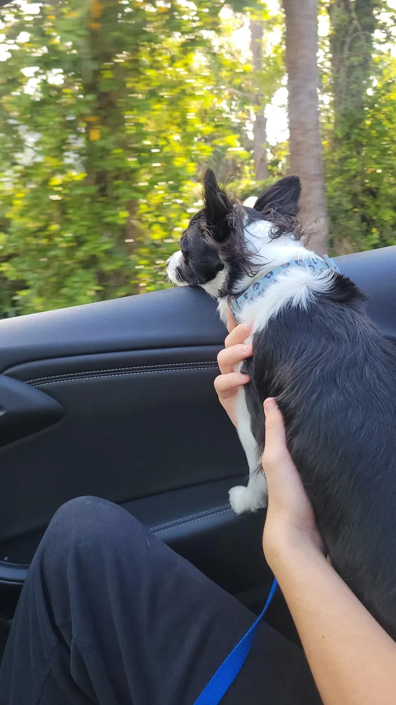 Emmy thumbnail 4