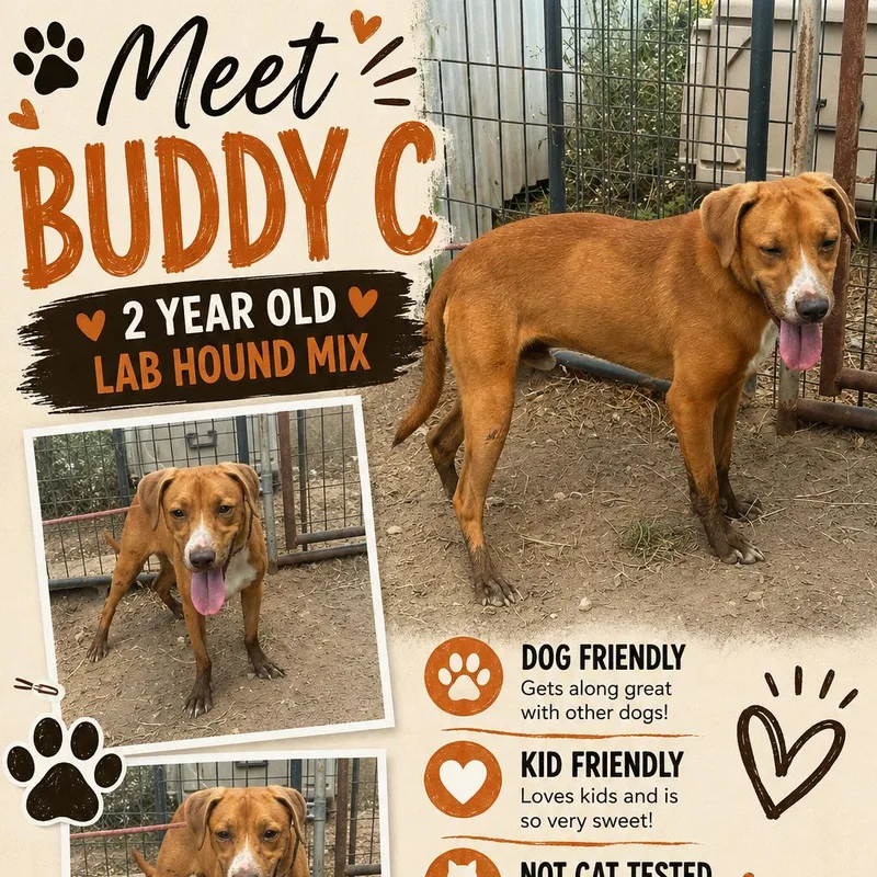 Buddy C thumbnail 2