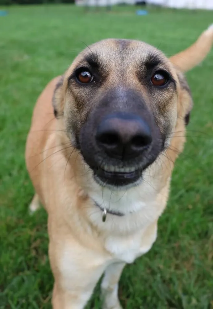 Ruby Rose thumbnail 6