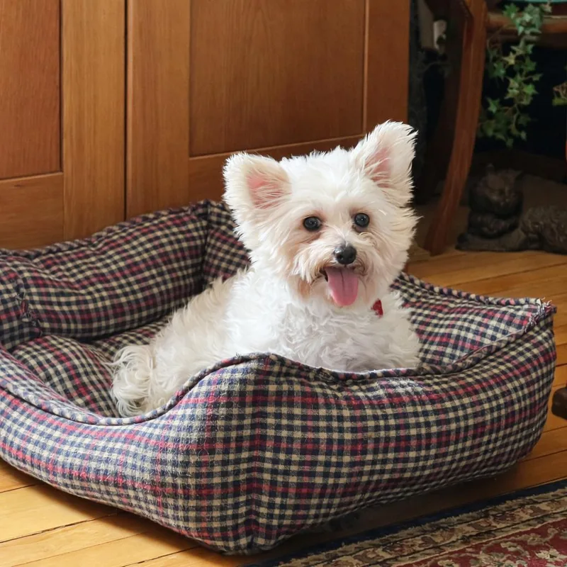 Portland thumbnail 5