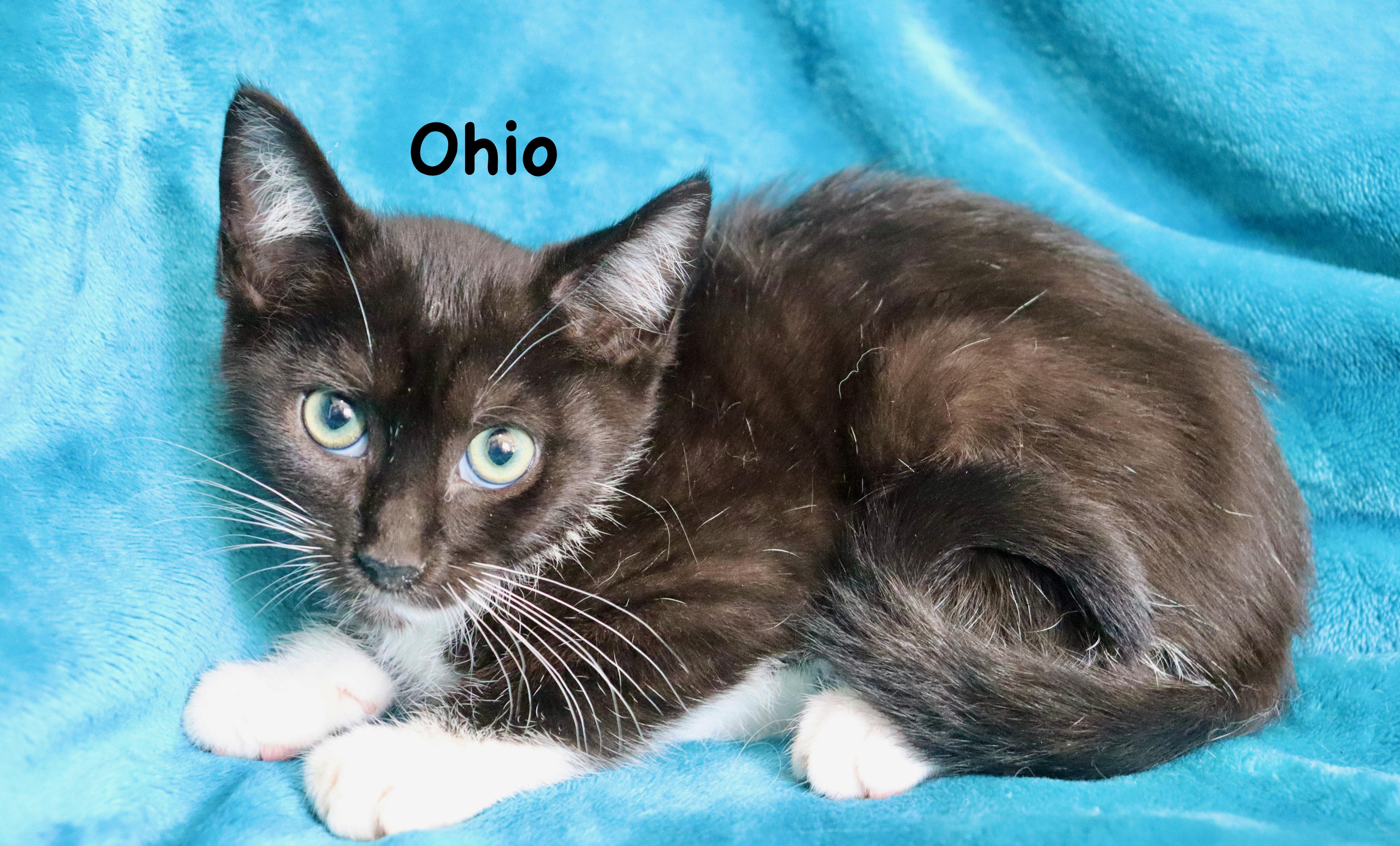 Ohio thumbnail 2