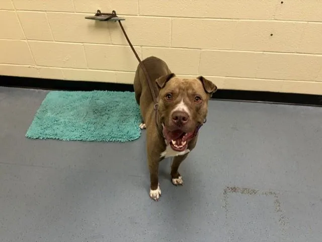 Chico