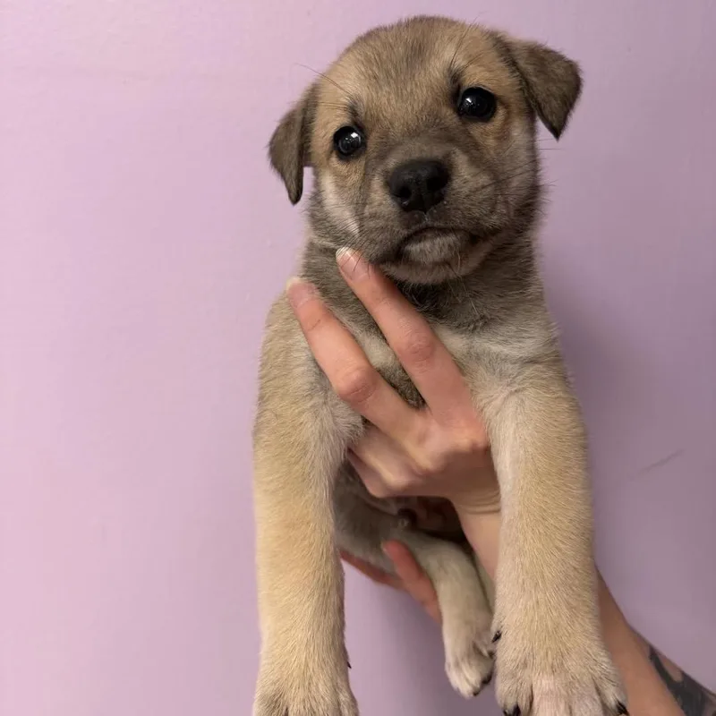 Long Beach thumbnail 2