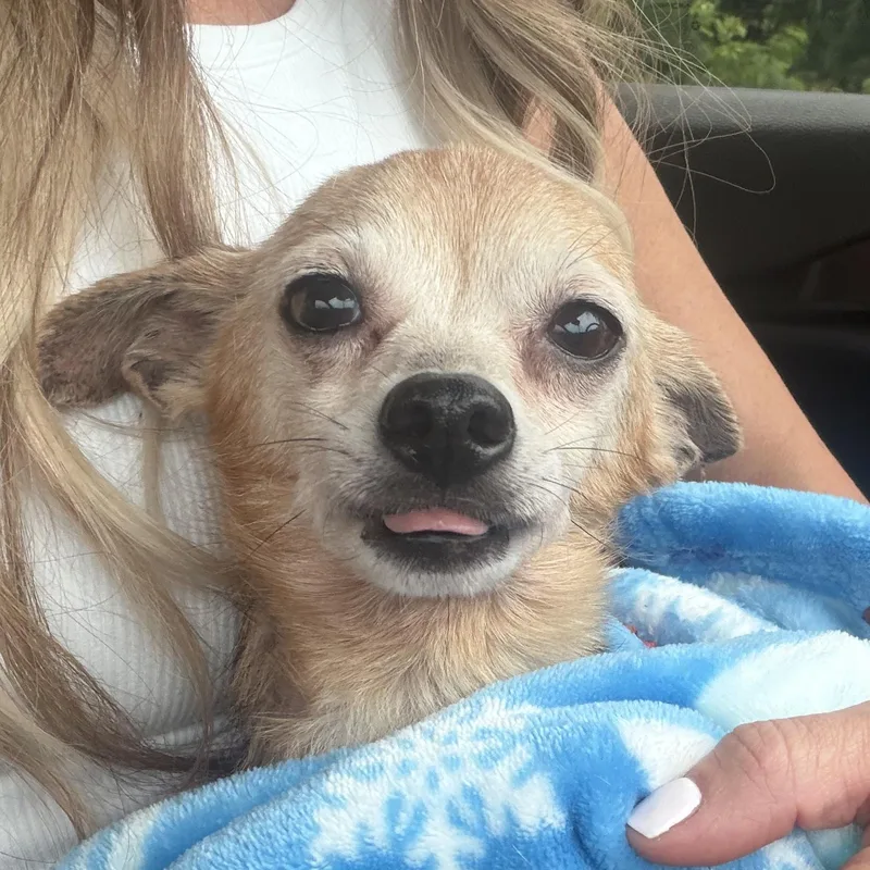 Peanut  Your Perfect thumbnail 2