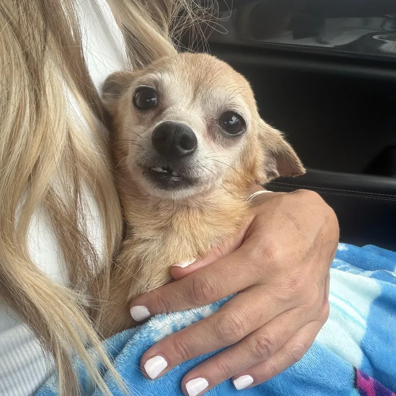 Peanut  Your Perfect thumbnail 3