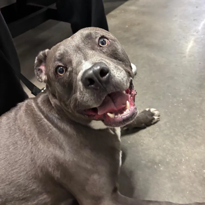 Zeus