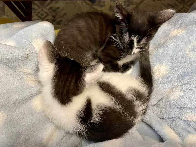 Yubi thumbnail 3