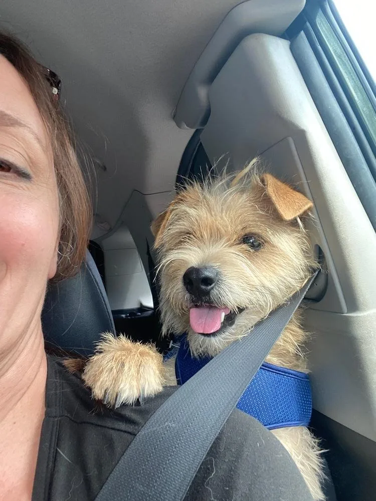 Lil Dude thumbnail 2