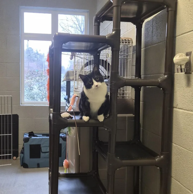 Mr. Beaumont thumbnail 2