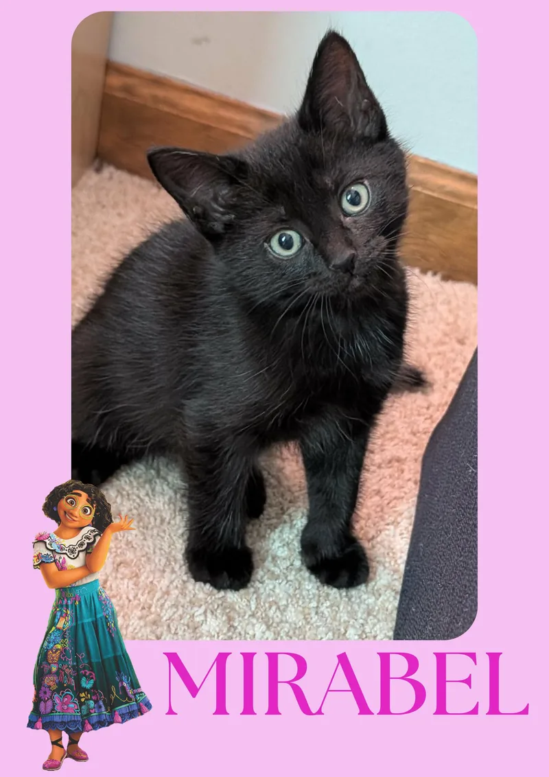 Mirabel