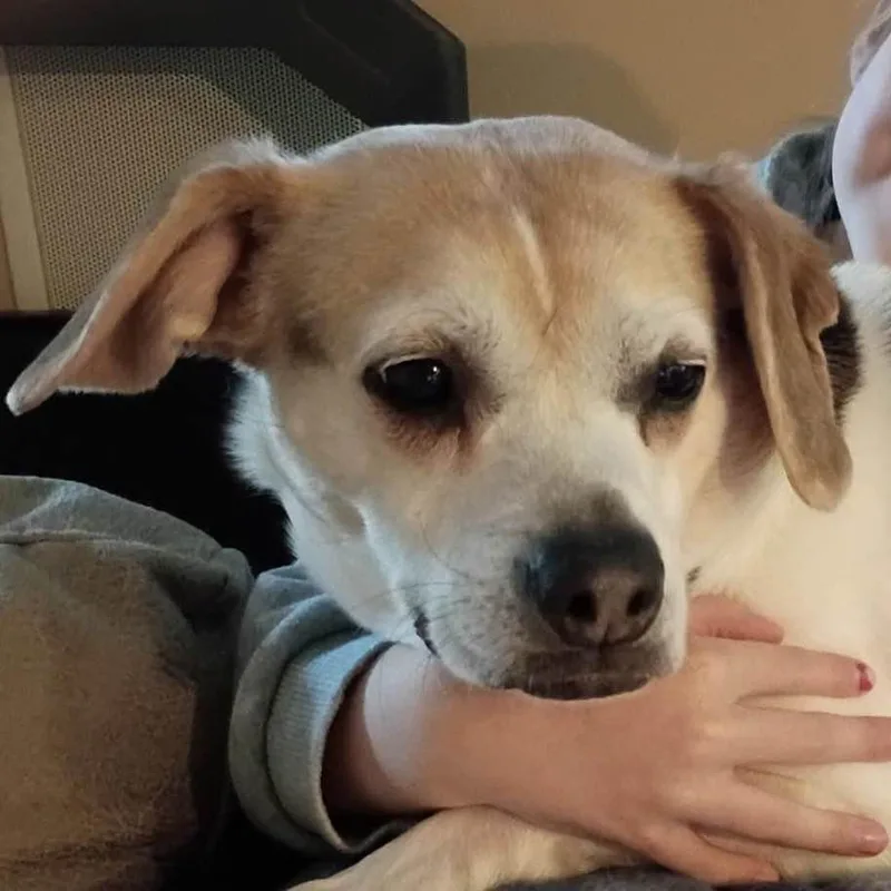 Missy thumbnail 2