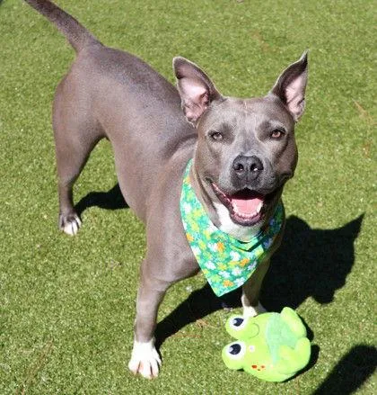 Evie Athens thumbnail 2