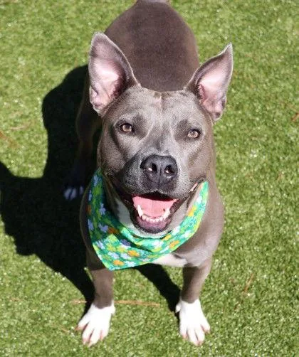 Evie Athens thumbnail 3