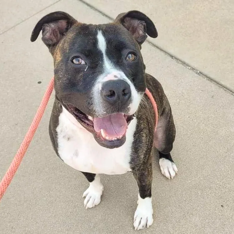 Clarence thumbnail 4