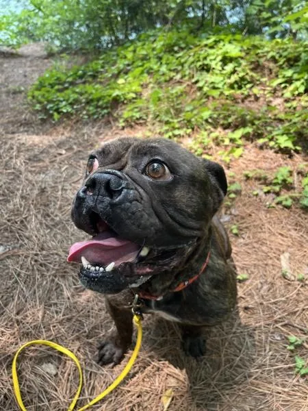 Lola