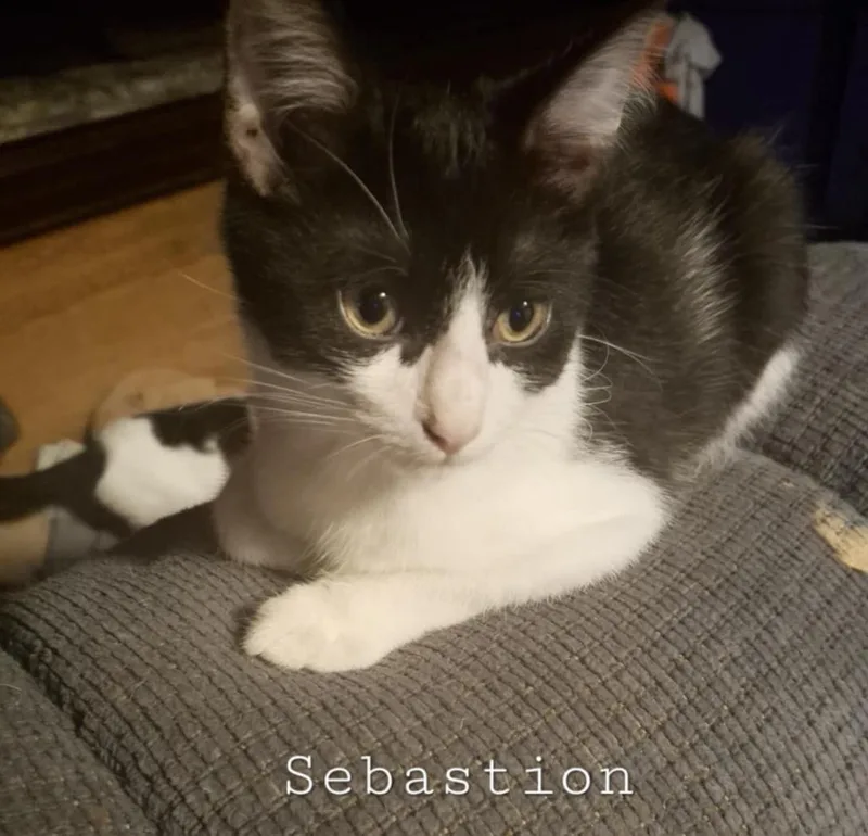 Sebastian