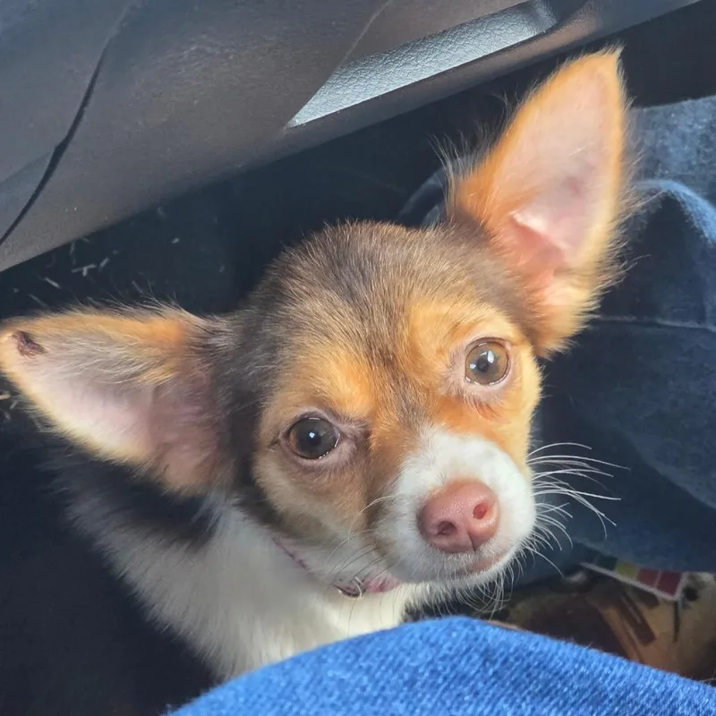 Baby Freya thumbnail 3