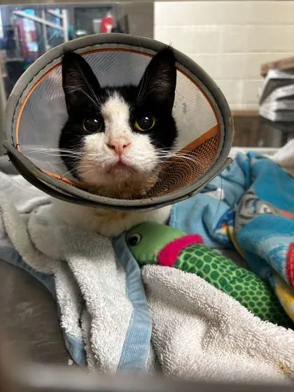 La Moule thumbnail 2