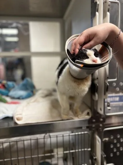 La Moule thumbnail 3