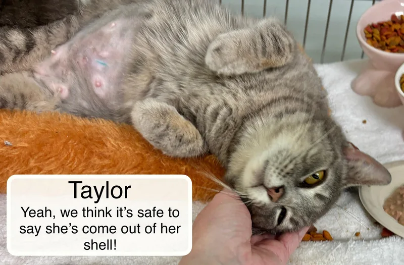 Tiffany Bonded With Taylor thumbnail 5