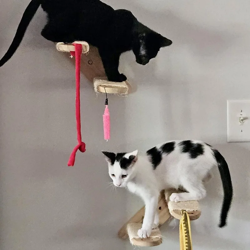 Chambord thumbnail 5