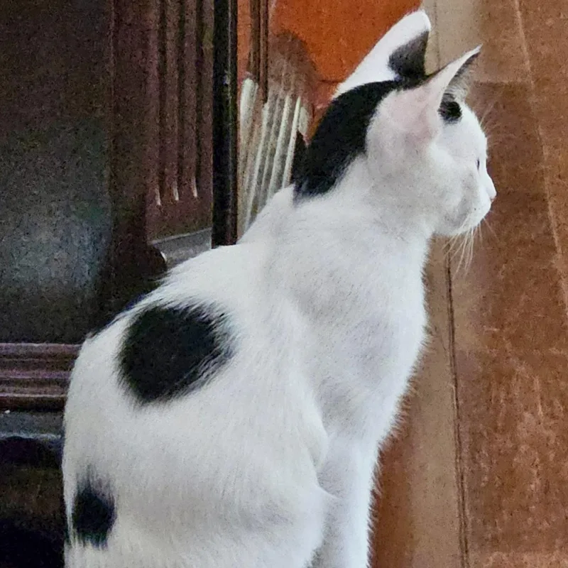 Chambord thumbnail 6