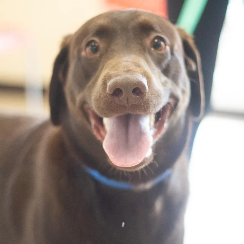 Max