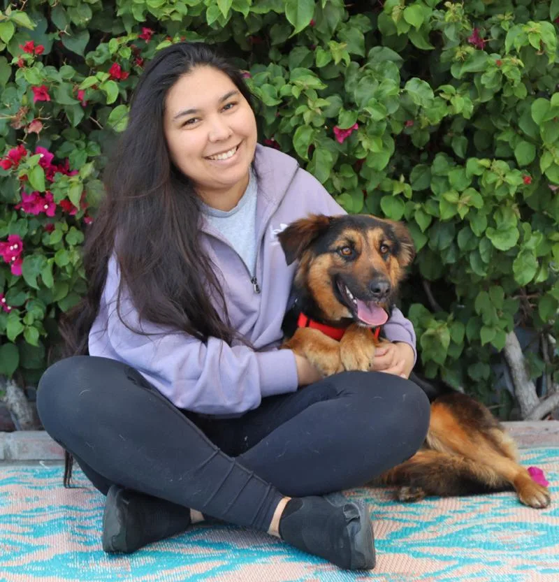 A young large-sized female Black German Shepherd Dog dog named Bethany Von Bayreuth for adoption in Los Angeles, CA