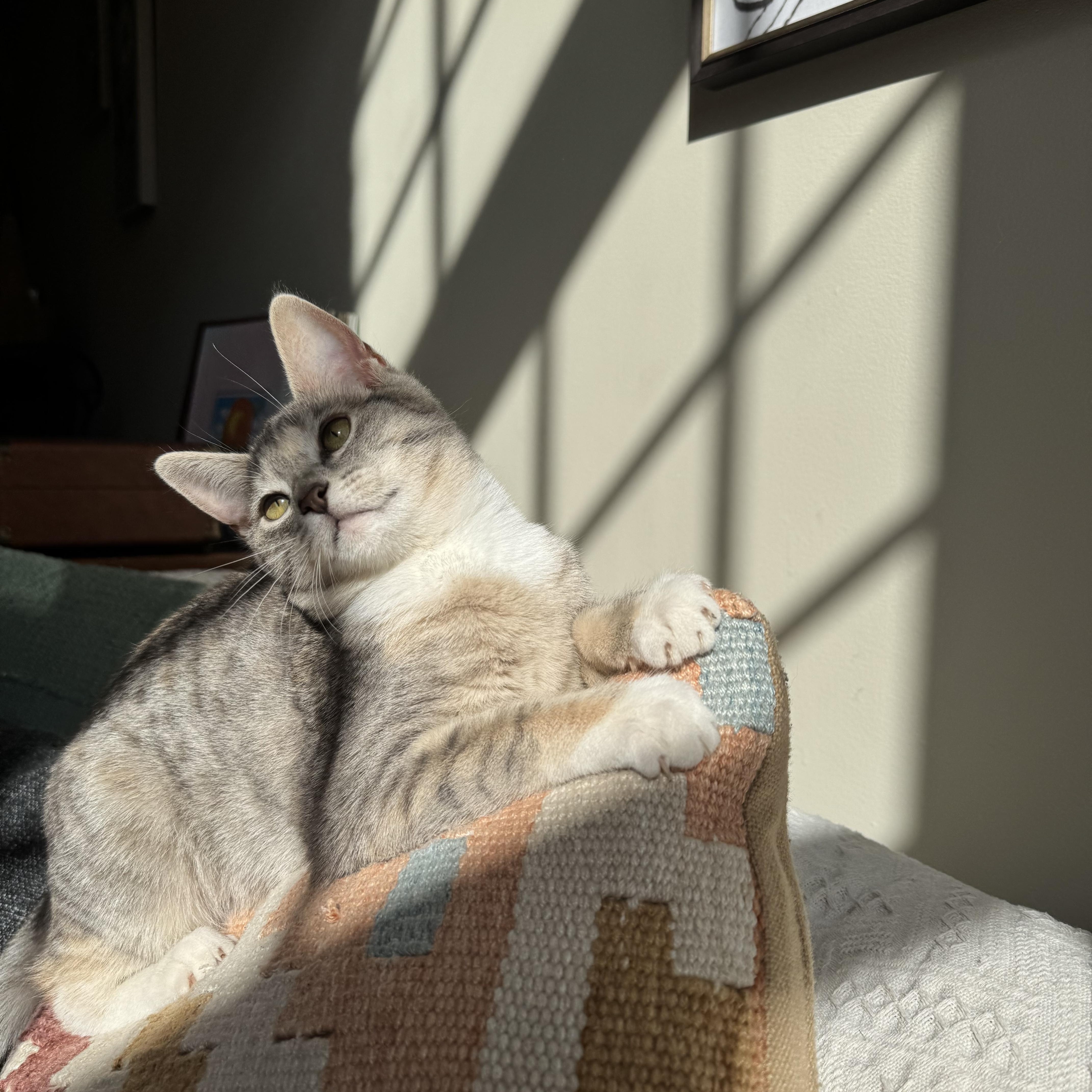 Itty Bitty thumbnail 2