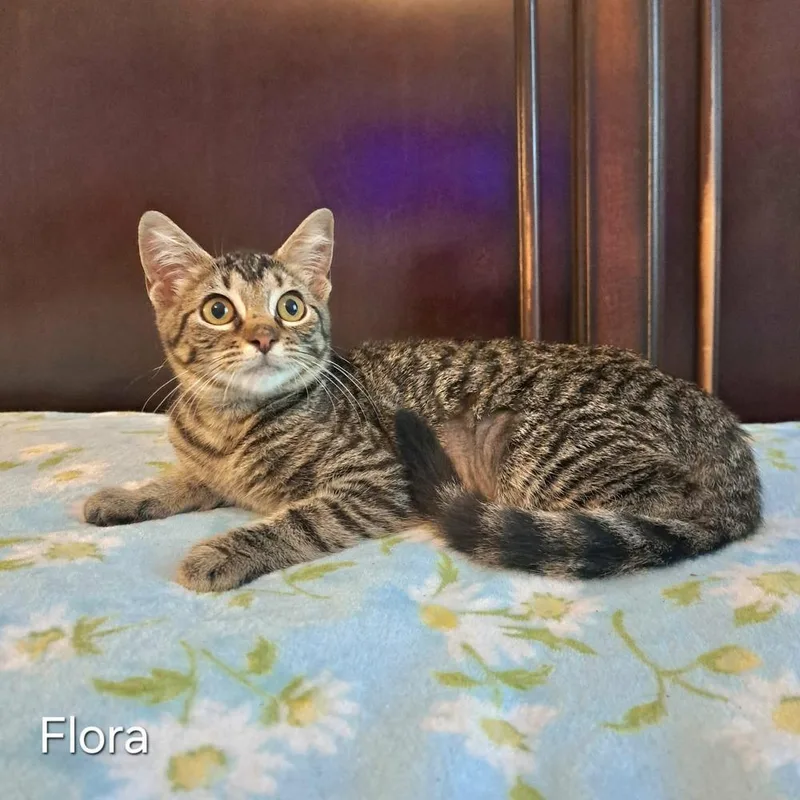 Flora thumbnail 3