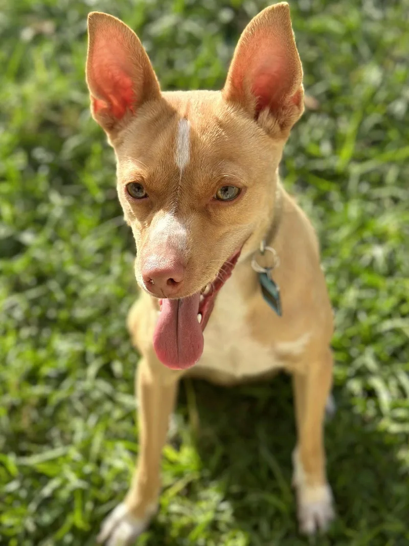 Marley
