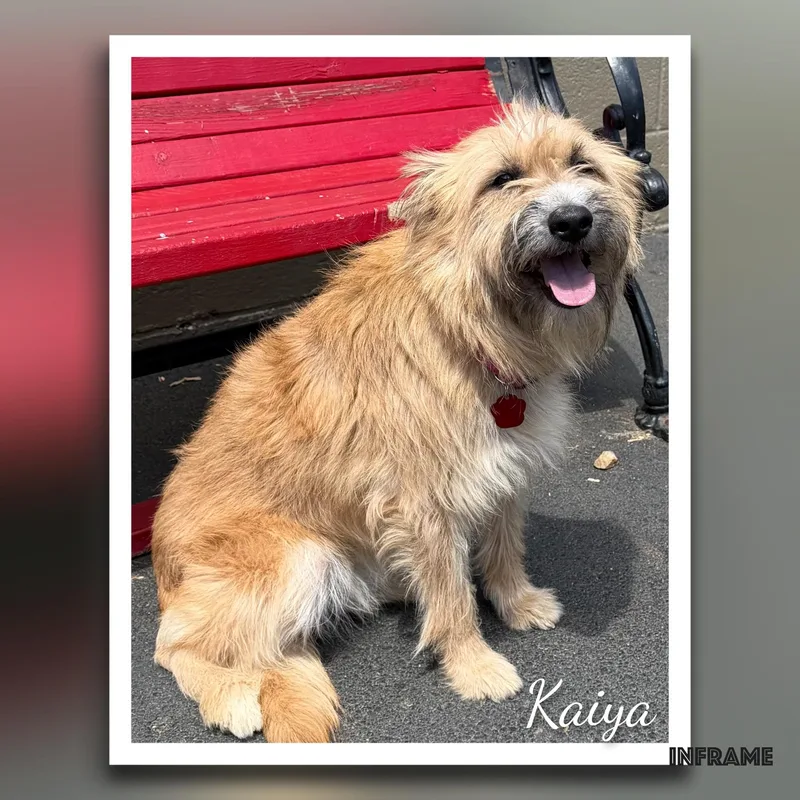 Kaiya thumbnail 2