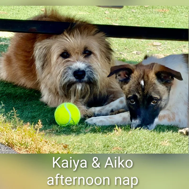 Kaiya thumbnail 5