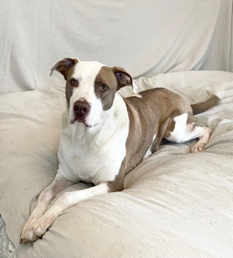 Wonderful Kolby thumbnail 2