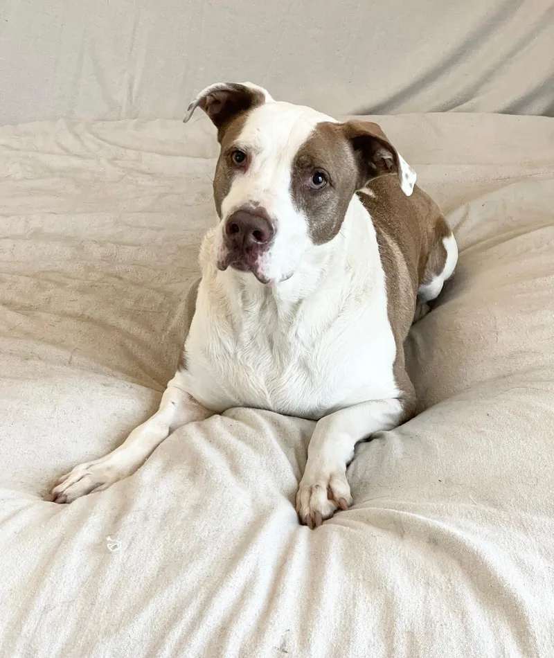 Wonderful Kolby thumbnail 5