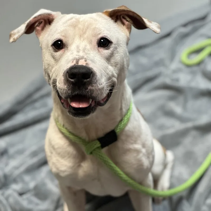 Sir Mixalot thumbnail 3