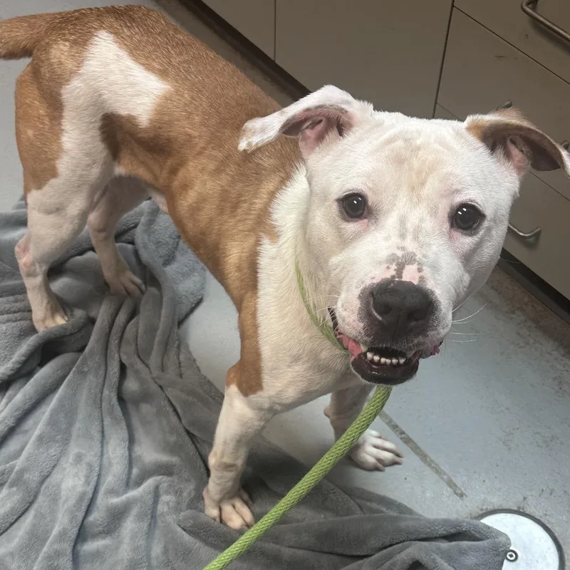 Sir Mixalot thumbnail 5