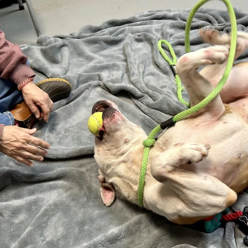 Sir Mixalot thumbnail 6