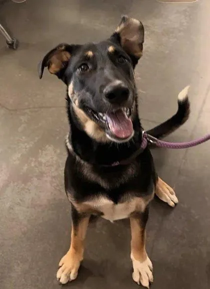 Xena