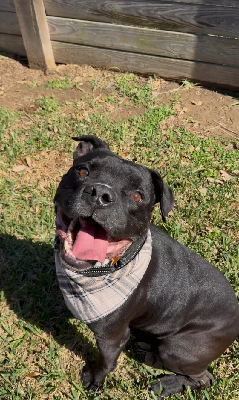 Aiden Mcready thumbnail 4