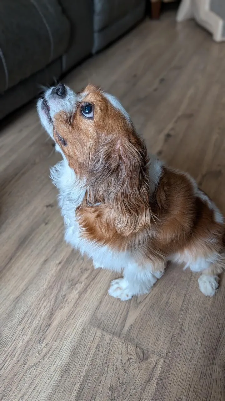 Charming Chloe thumbnail 5