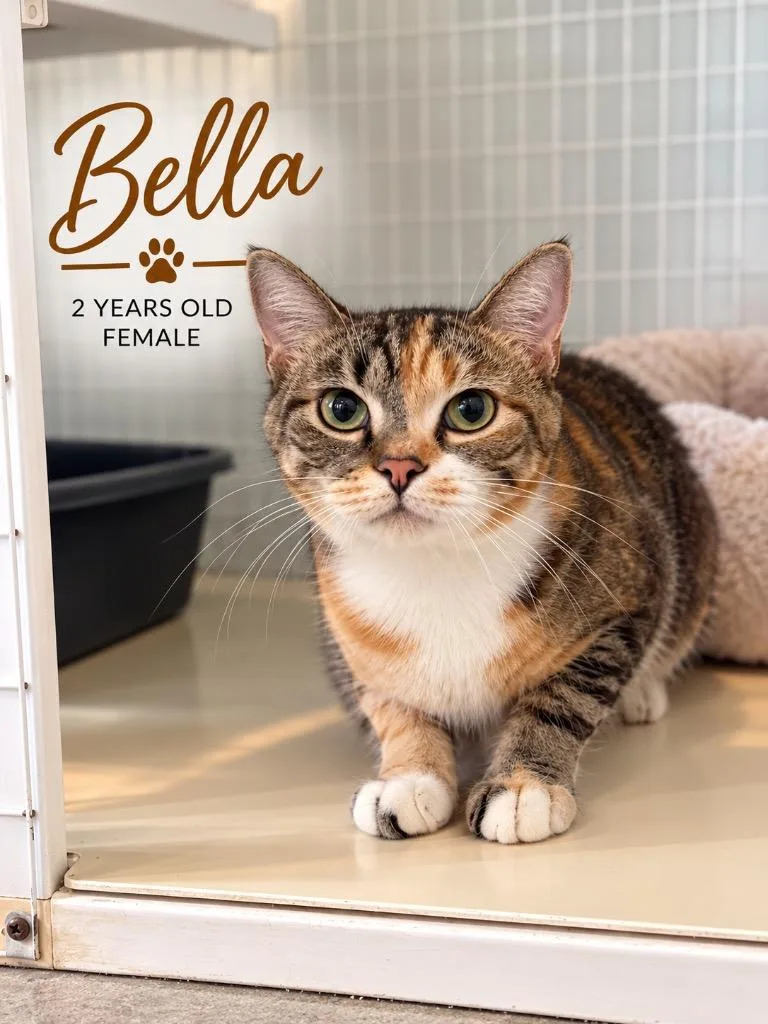 Bella