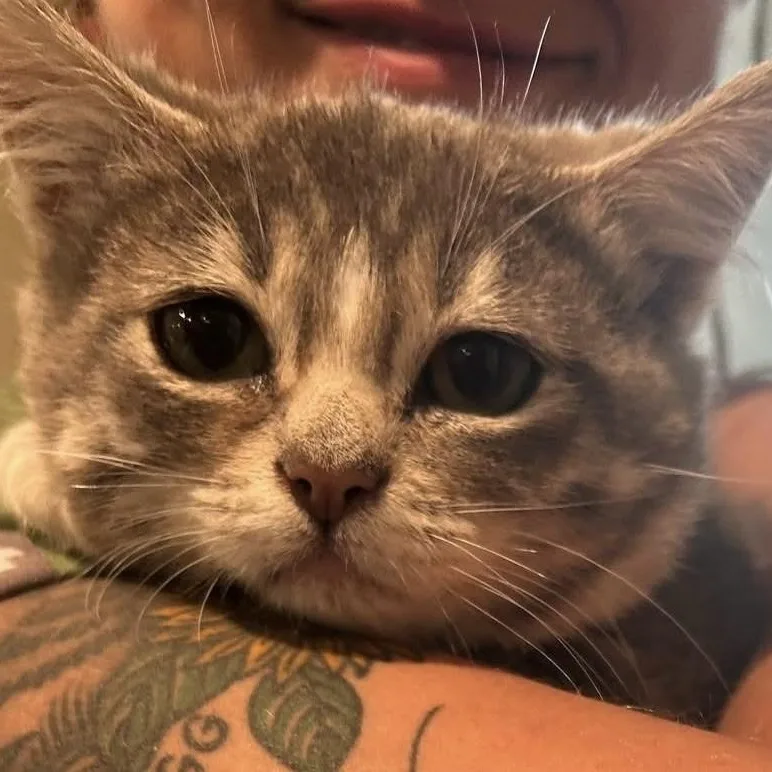 Ms. Peabody thumbnail 3