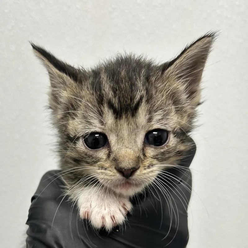 Milwaukee thumbnail 2