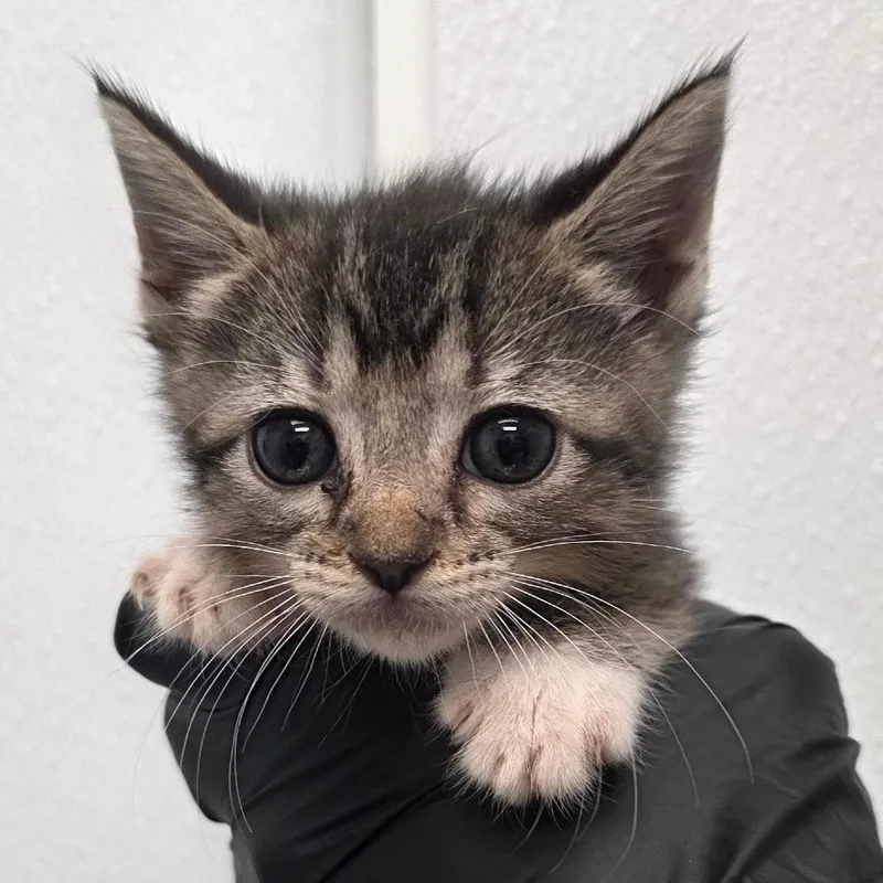 Milwaukee thumbnail 3