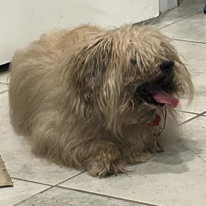 Bentley thumbnail 4