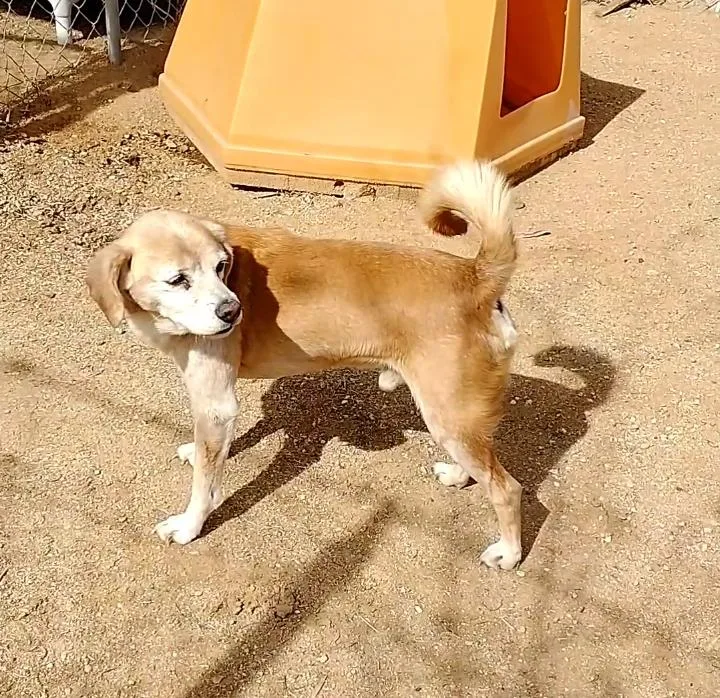 Sammyhis Bff Is Roomy